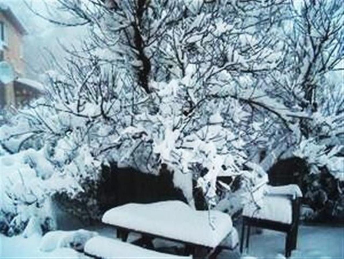 Odem Country Lodging Bed & Breakfast Екстериор снимка